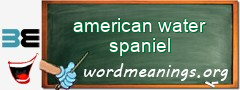 WordMeaning blackboard for american water spaniel